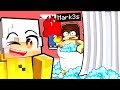 7 SEGRETI su MARK3S in Minecraft