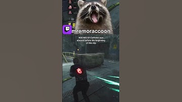 Raccoon, it’s a flashlight save…chill #dbd #deadbydaylight #dbdmemes #shorts