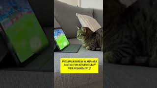 Kucing nonton bola #short #hewan #yearofyou #azepzuliana