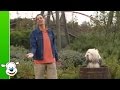 Samson Gert De Wereld Is Mooi Samson Gert De Wereld Is Mooi
