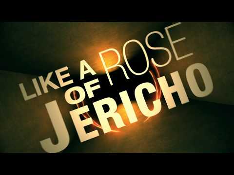 Treat - "rose of jericho" (official lyric video)