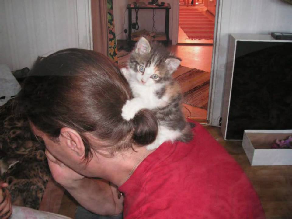 Frid - dedicated to Josefine - by Owatone