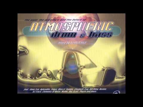 DJ Wildchild — ATMOSPHERIC Drum & Bass Vol.1 CD2 1996 - Mixed By DJ Wildchild