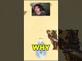 Overwatch MOST WTF Clips #214