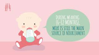 7 Must Know Milk And Nutrition Tips