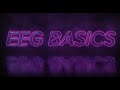 EEG Basics