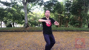 Chen Style Tai Chi New Frame First Routine 陈氏太极拳新架一路-69六封四闭 VI  6th Pushing Hands on Empty Stance VI