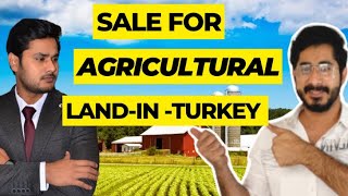 Investment Agriculture Land in Turkey