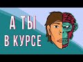 А ТЫ В КУРСЕ из чего состоит ЧЕЛОВЕК?