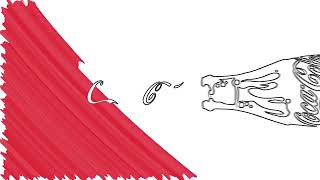 Draw Coca Cola Logo Animation