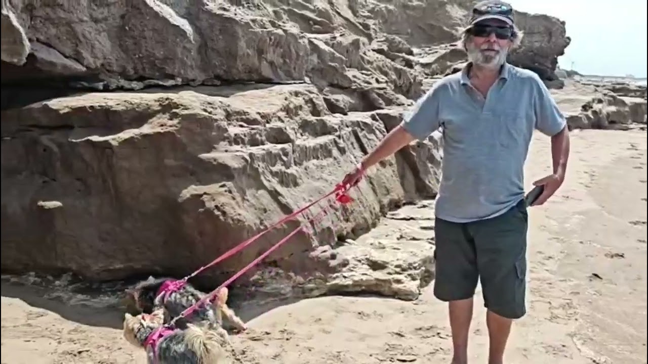 Necochea e Quequén Argentina. Leões marinhos. Las Grutas