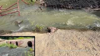 UNCLOGGING CULVERTS IN NEW AREA! 06/2026