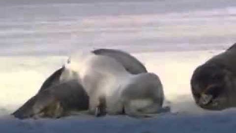 Test Upload via Java on Fri Apr 11 08:07:16 ALMT 2014