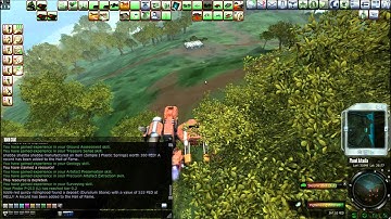 Mining With PigBenis-Arkadia Gold Rush 2012