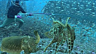 Deep Dive for Squid: So Many Catches Below 19 Meters!