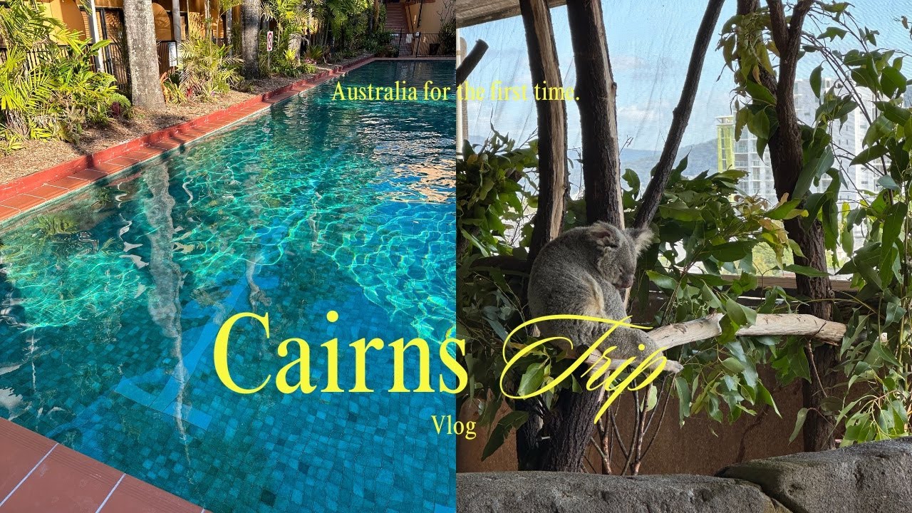 【オーストラリアvlog】ケアンズ｜ごちそうモーニング｜ケアンズの動物園｜可愛すぎるコアラたち｜スーパーでショッピング｜ホテルルームツアー｜美味しいテイクアウトディナー