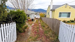 He was shocked when I REFUSED to cleanup his BACKYARD | Satisfying Rescue!