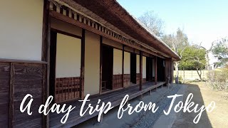 A Day Trip From Tokyo | Sakura, Chiba | Japan Travel Vlog