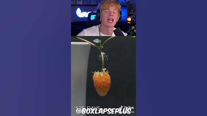 160 Days in 60 Seconds - Strawberry Seed to Fruit! 😱