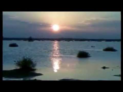 شيله محمد ابن الذيب اه لو تدري يامحمد