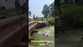 Desi swimming pool #desi#swimming #pool