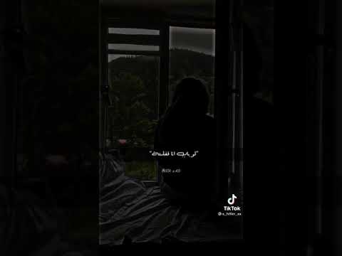 شيرين هو مين شال ذنب مين