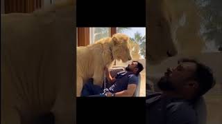 Some Interesting Facts About Dubaipart-2