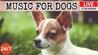 [LIVE] Dog Music🎵Dog Calming Music for Dogs🐶Anti Separation anxiety relief music💖Dog Sleep Music🔴1-3