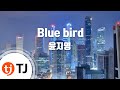 TJ노래방 Blue Bird 윤지영 TJ Karaoke