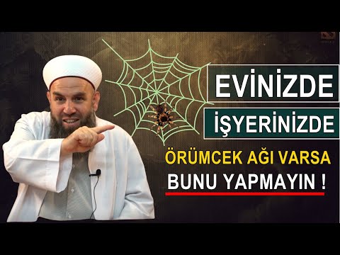 Video: Neden örümceklerle Bir örümcek Ağı Hayal Et