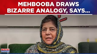 Former J&K CM Mehbooba Mufti In Spotlight Over Bizzare Analogy, Why Link Encounters To Elections?