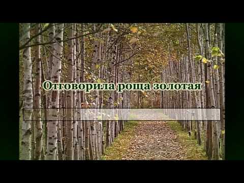 Отговорила Роща Золотая - Караоке