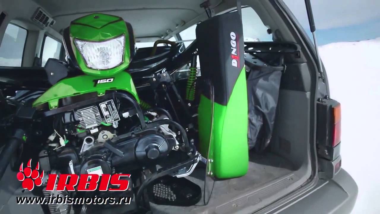 Двигатель dingo t150