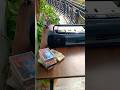 BPL Sanyo SW-8303ST double casset stereo HiFi dubbing system clear sound#video viral#trending