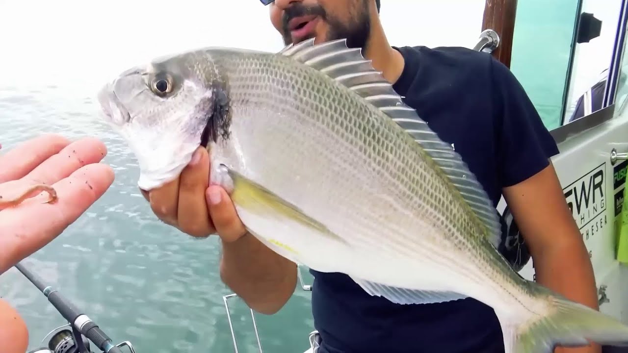 Bolentino in Corrente ad Orate (Italcanna)