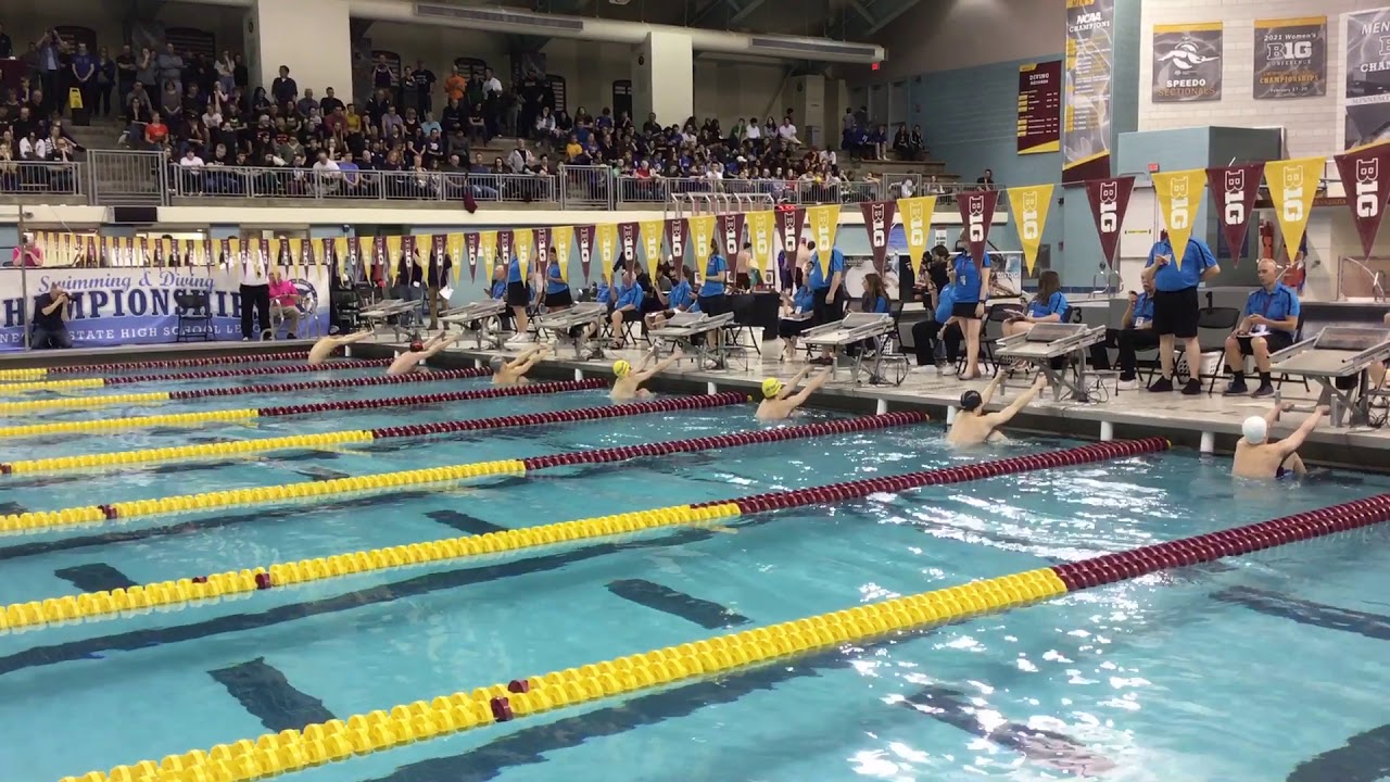 free fonts 2019 AA MSHSL State Meet - 100 Backstroke