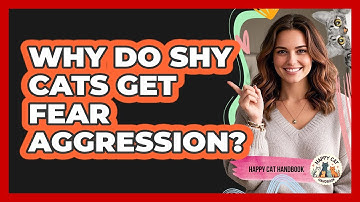 Why Do Shy Cats Get Fear Aggression? - Happy Cat Handbook