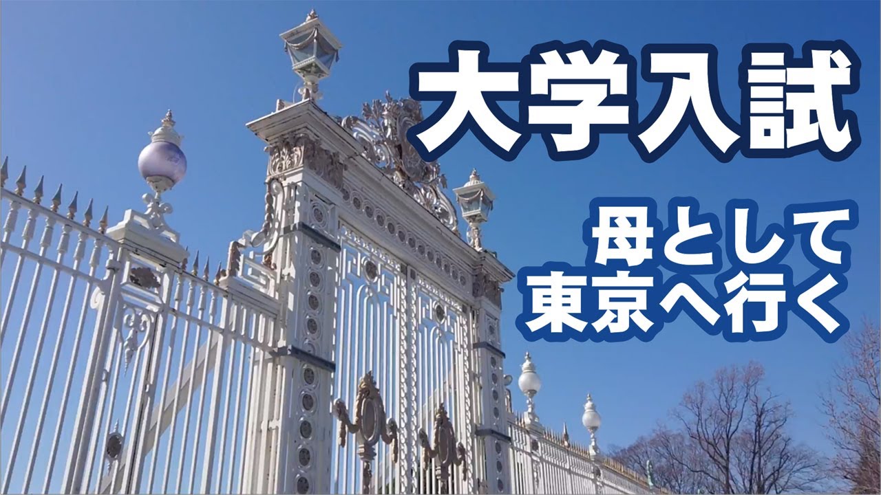 母として東京へ行く 息子の大学入試 宿泊したホテルなどご紹介 Youtube