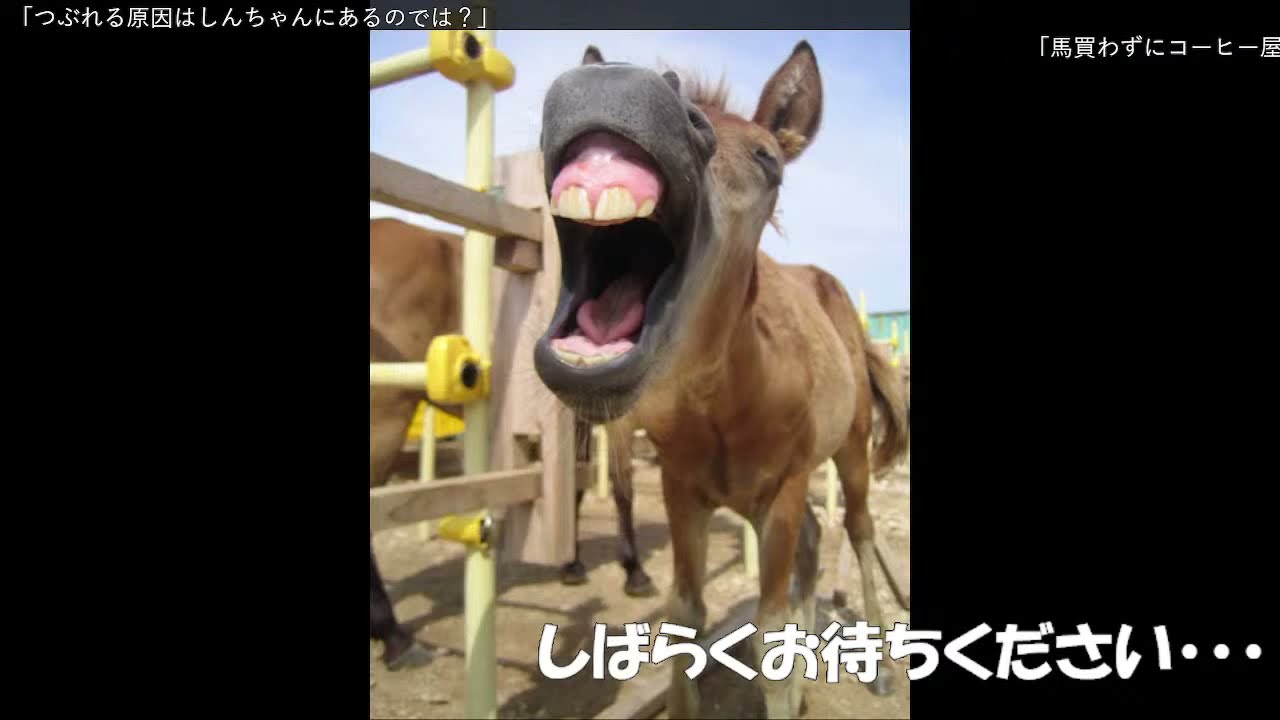 地方競馬指数予想 水分ボンバーオンライン Sbo 地方競馬指数予想 水分ボンバーオンライン Sbo