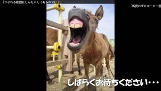 地方競馬指数予想 水分ボンバーオンライン Sbo 地方競馬指数予想 水分ボンバーオンライン Sbo
