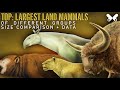 Top largest land mammalssize comparison megafauna