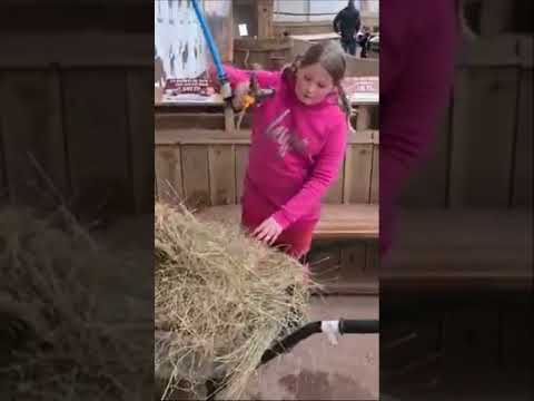 The Nearly Twins Plus One - Lee-Lee's Zookeeper Day
