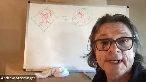 Andy Strominger - Asymptotic w infinity Symmetry of 4D Gravity