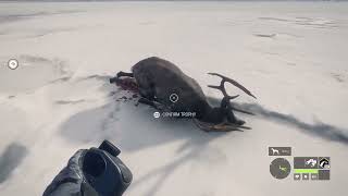 The Hunter Call of the Wild trying the High Caliber Weapon Pack