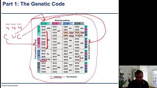 Chapter13 - 1 - GeneticCode