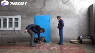 Həyətinə Düşən Yaralı Qartalı Sağaltdı Və Bəslədi, Indi Təbiətə Buraxmaq Istəyir