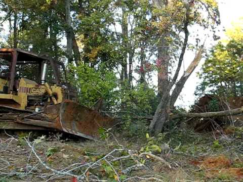 Case 1550 Dozer - Taking out a Sweetgum.