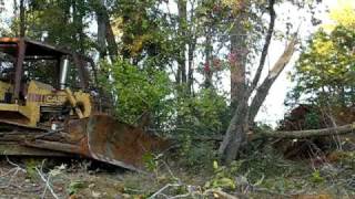 Case 1550 Dozer - Taking out a Sweetgum.