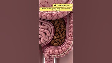 What Your Doctor Sees When You’re Severely Constipated | Bio Anatomy Art| Gut Health