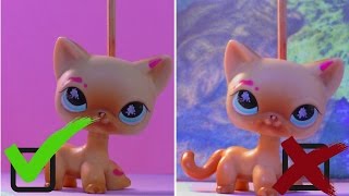 КАК СНЯТЬ КРУТОЙ LPS-КЛИП? КАК СНЯТЬ КРУТОЙ LPS-КЛИП?